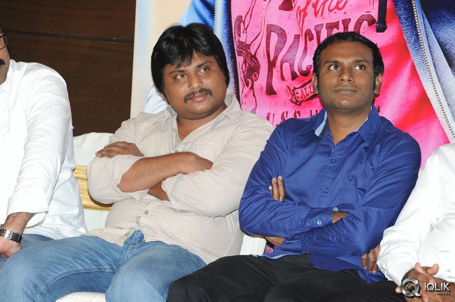 Loukyam-Movie-Platinum-Disc-Function